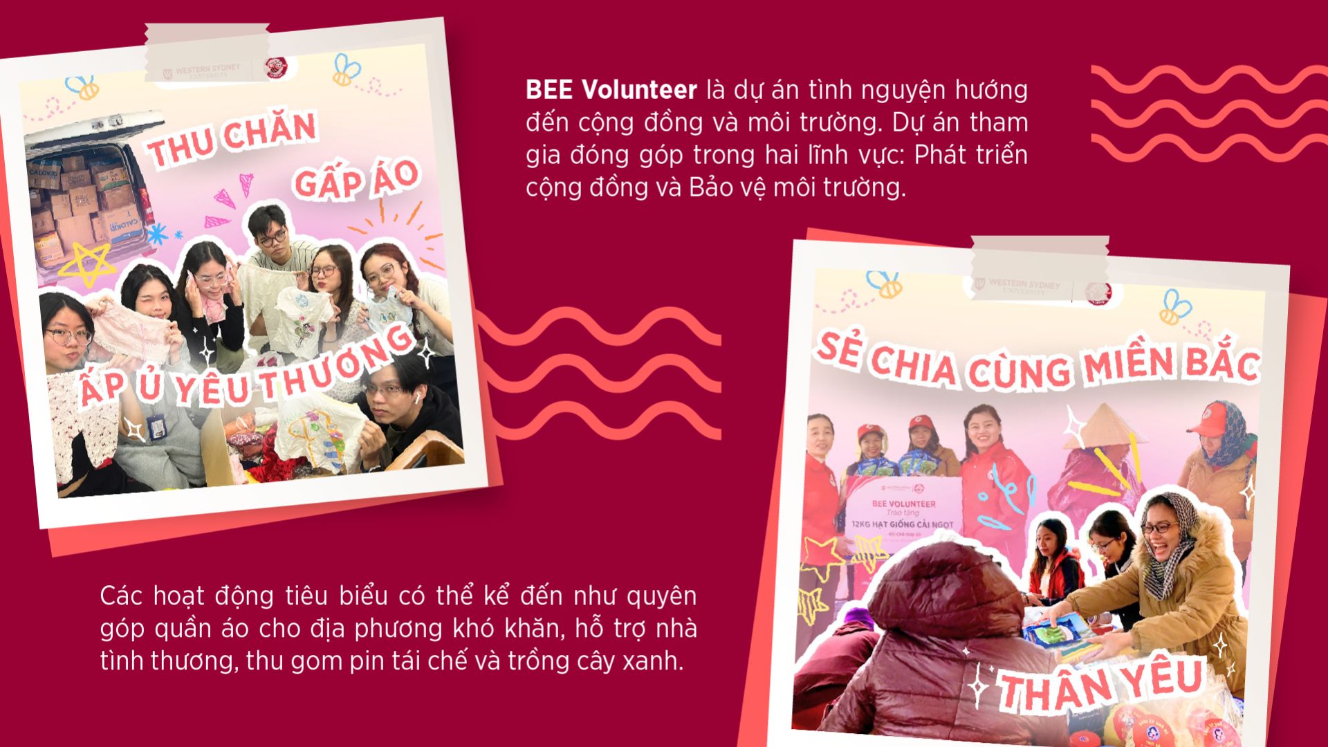Hình ảnh hoạt động thiện nguyện của dự án BEE Volunteer